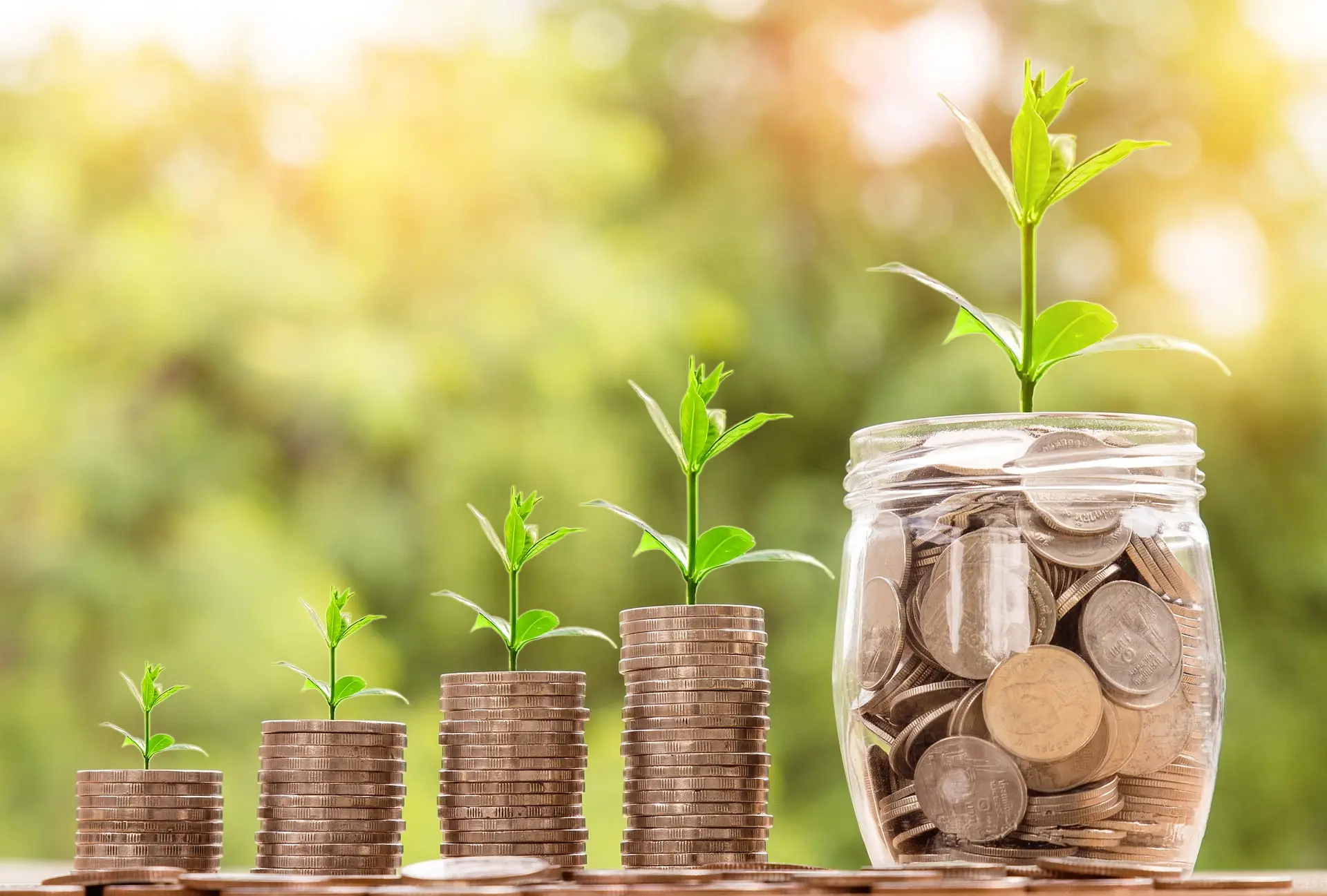 The Well-being of Financial Advice - image from Pixabay showing jar of coins and plants growing out.